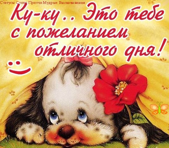 с добрым утром.jpeg