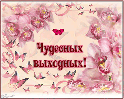 97d9038172e9.gif