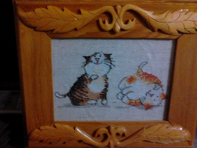 котики.jpg