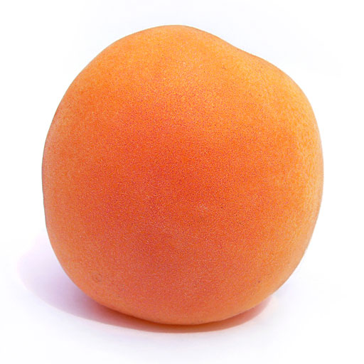apricot_0.jpg