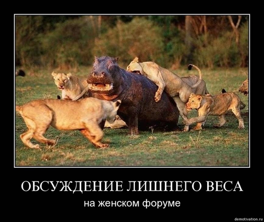 beeea982c18790e3aa011cb3c5b32bb3.jpg