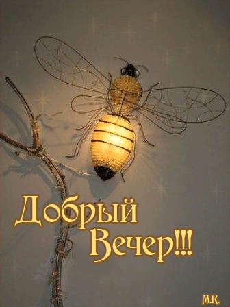 331028699.gif