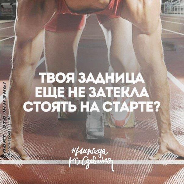 старт.jpg