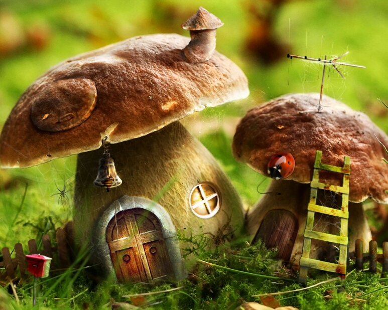 Drawn_wallpapers_Mushroom_houses_016300_(1).jpg