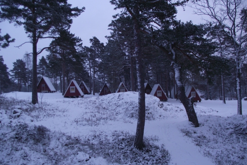 DSCF7004.JPG