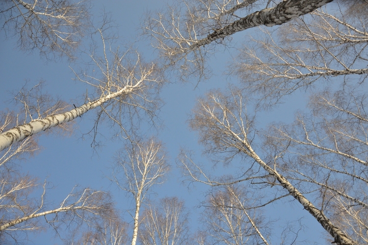 DSC_1427.jpg