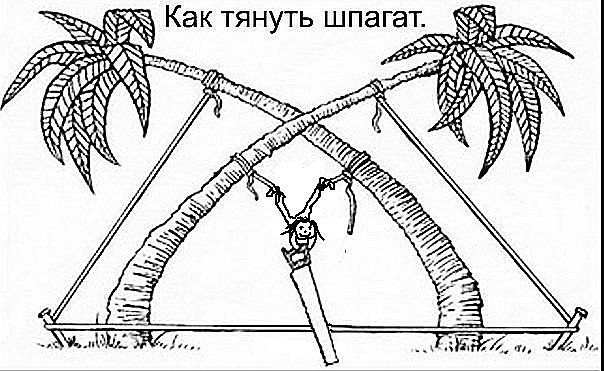 zWnbFgevAm4.jpg