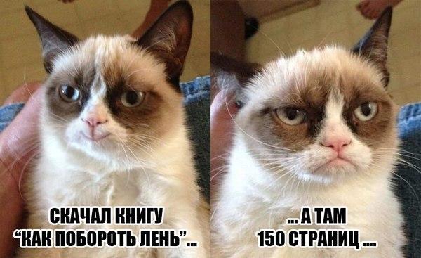 fLVnNtgTRIQ.jpg