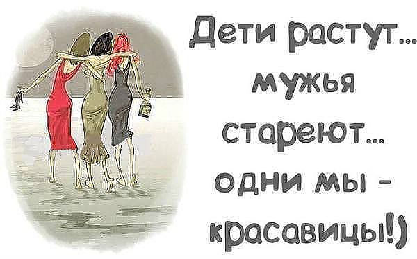 красавицы.jpg