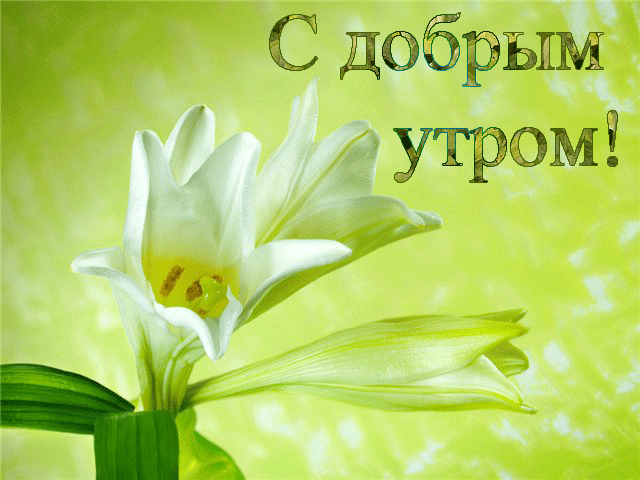 929206966.gif