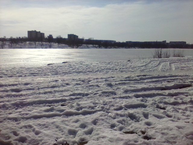 IMG_20150225_115248.jpg