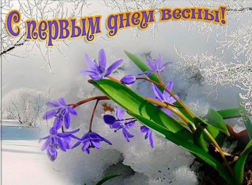 Снимок.JPG
