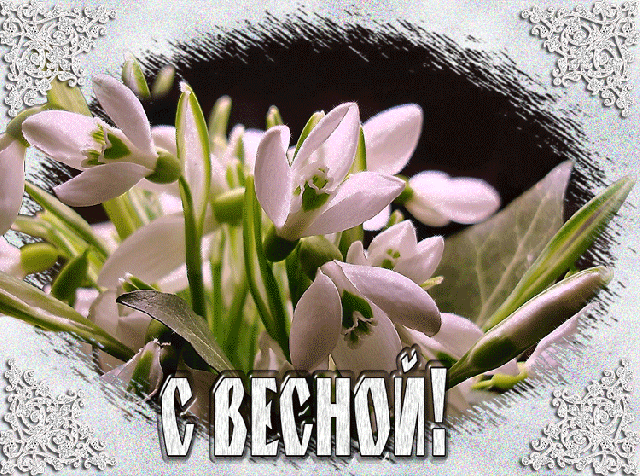 весной.preview.gif