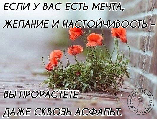 getImage (2).jpg