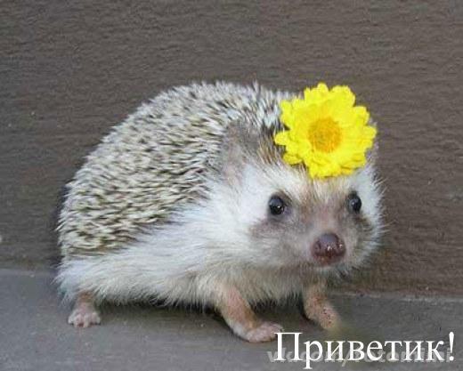 -RpKeXi0Z6Y.jpg