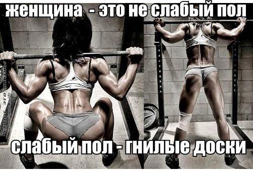 ZXTF2m7gLyE.jpg