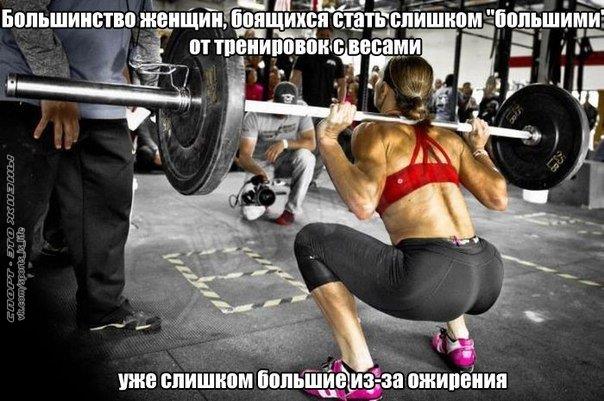 xr-Ya8L1SL4.jpg