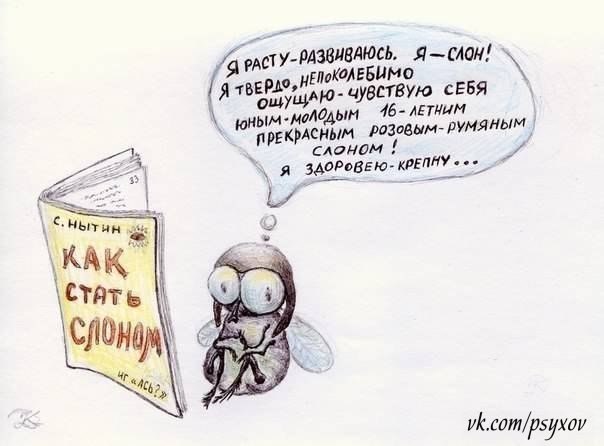 RDeVqmEpsSU.jpg