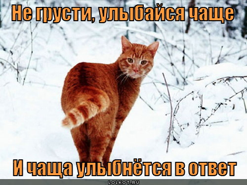Эле для   улыбки).jpg