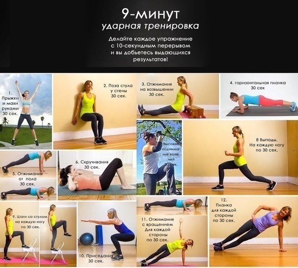 фит.jpg