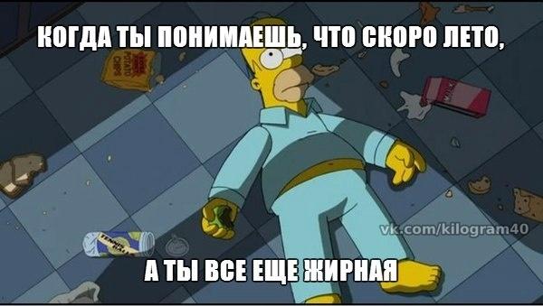 8zTi3VvRv8k.jpg