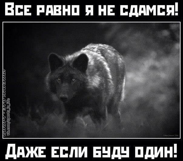 uA_p5XYCnO4.jpg