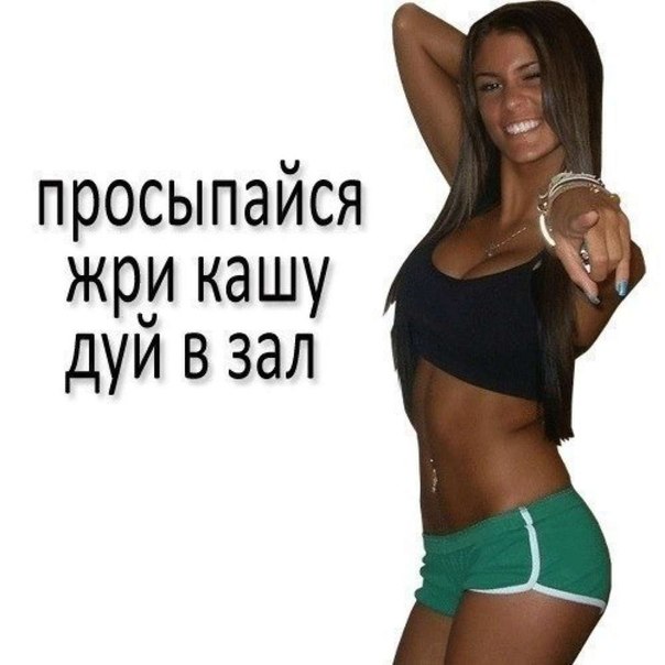 6VfjCocBjvU.jpg