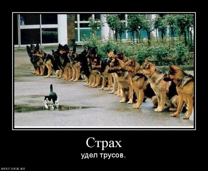 Страх-удел-трусов..jpg
