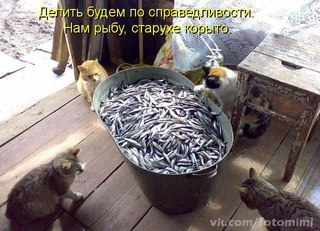9IUEeOWKxtA.jpg