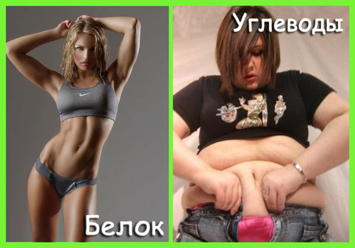 белок-углеводы.jpg