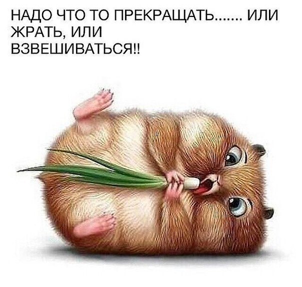 мотивашка.jpg