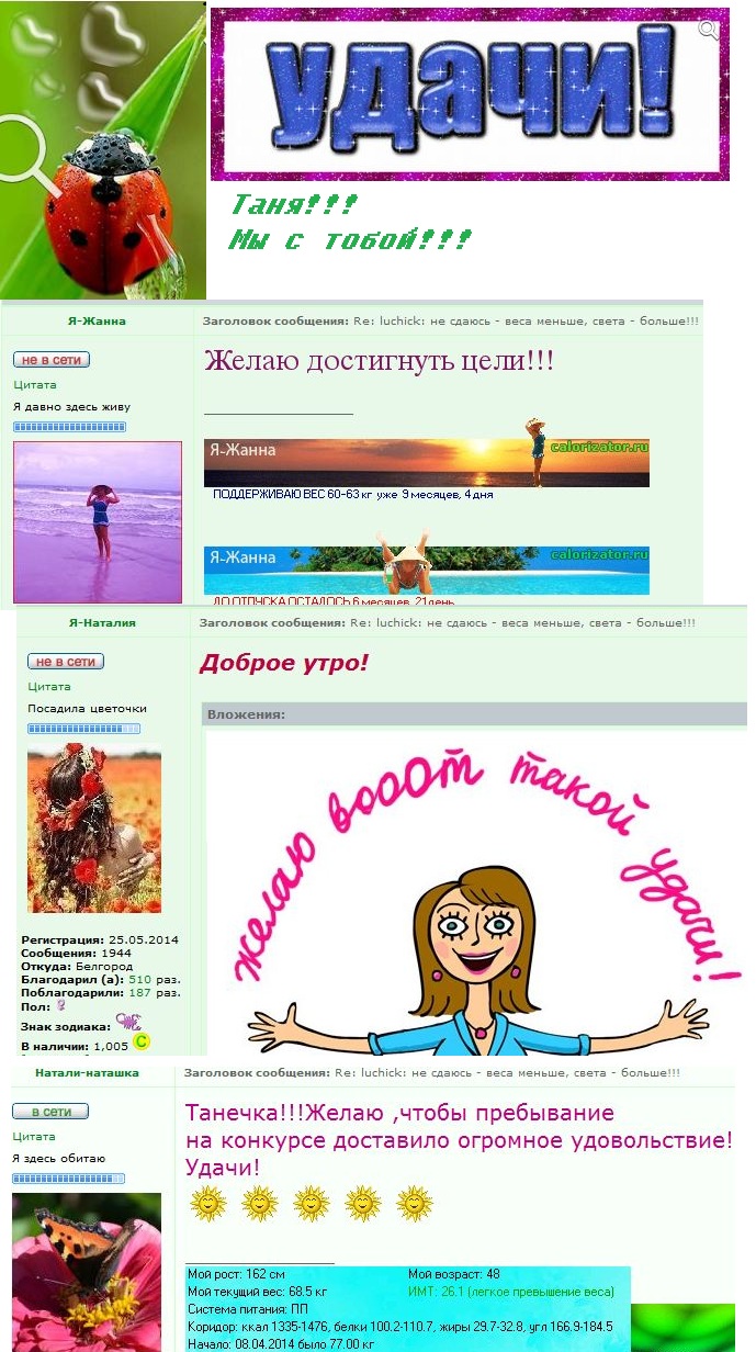 Снимок тл.JPG