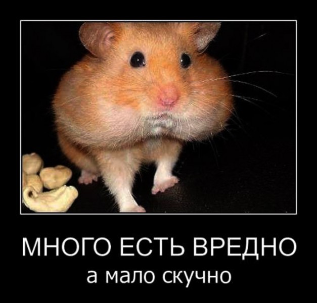 много мало.jpg