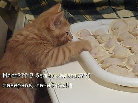 мясо в белых халатах.jpg