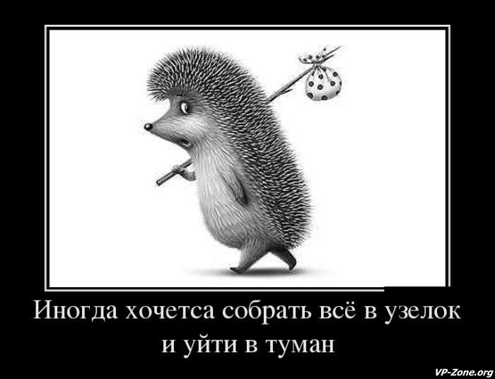 в туман.jpg