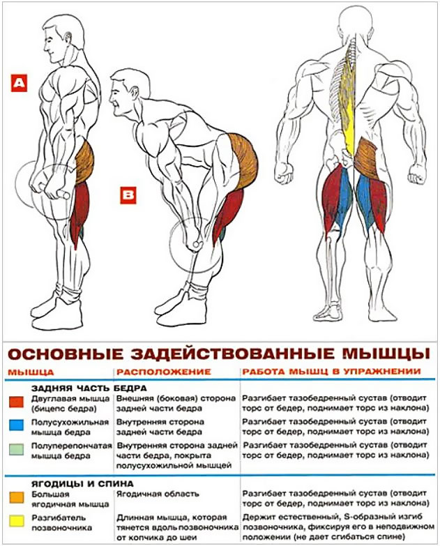 2.Ruminskaya_tyaga.jpg