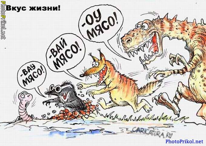 1324393351_smeshnye-karikatury-10.jpg