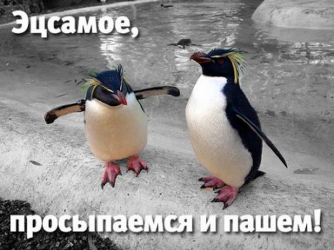 6024208f5b.jpg