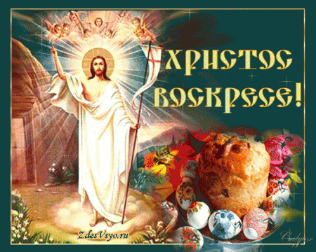 Pasha2015.gif