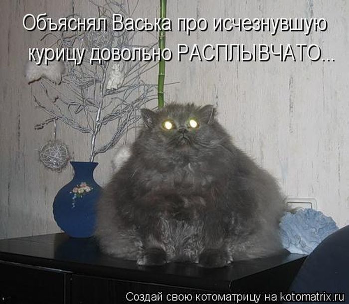1355161919-luchshie-kotomatricy-nedeli-50-foto_AddFun.ru_48.jpg