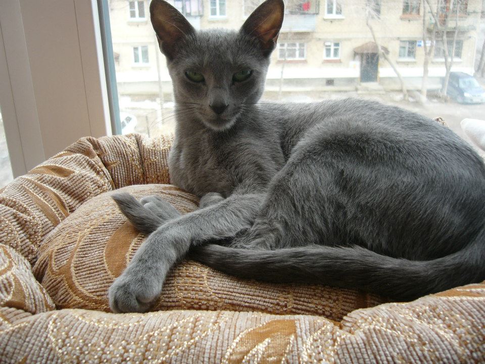 мася.jpg