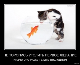 657815-2012.02.05-06.53.28-bomz.org-demotivator_ne_toropis_utolit_pervoe_jelanie_inache_ono_mojet_stat_poslednim.jpg