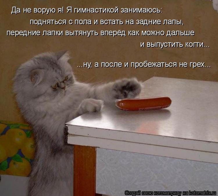 1000282.jpg