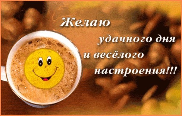 wpid-rNAj1_sLV10[1].jpg
