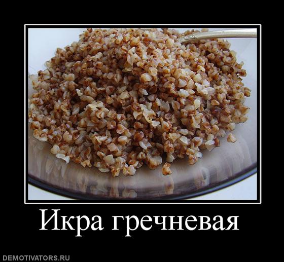 греча.jpg