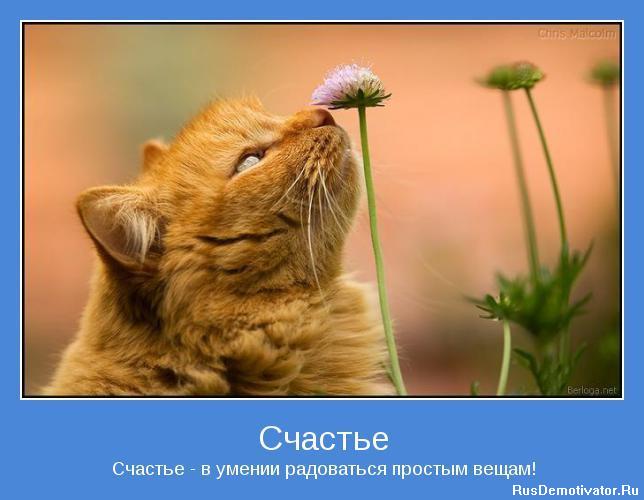 счастье.jpg