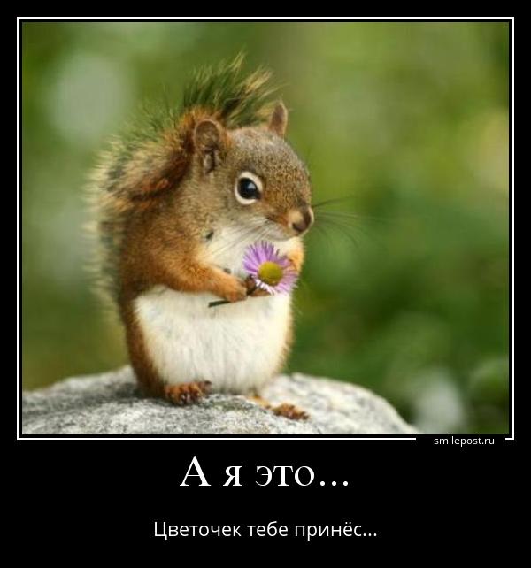 цветочек.jpg