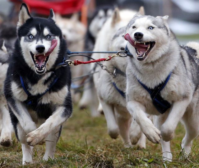 1417410502_daily_picdump_1676_640_46.jpg
