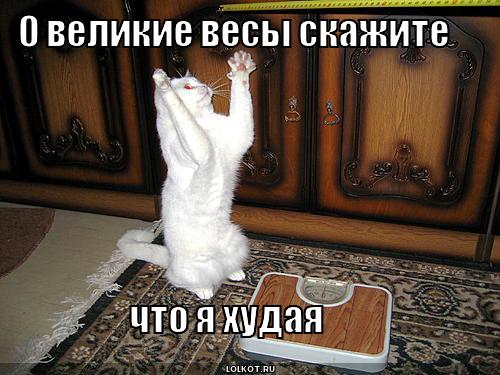 39708b46cb3b.jpg