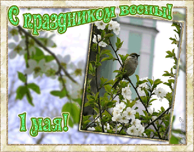 первомай.gif